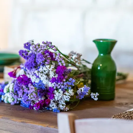 Apartment Torre Primaldo 1590 Dc By Professione Vacanze